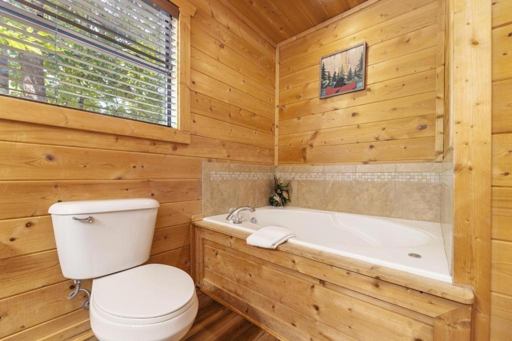 Parkview Vista Way Home 1353 ピジョンフォージ エクステリア 写真